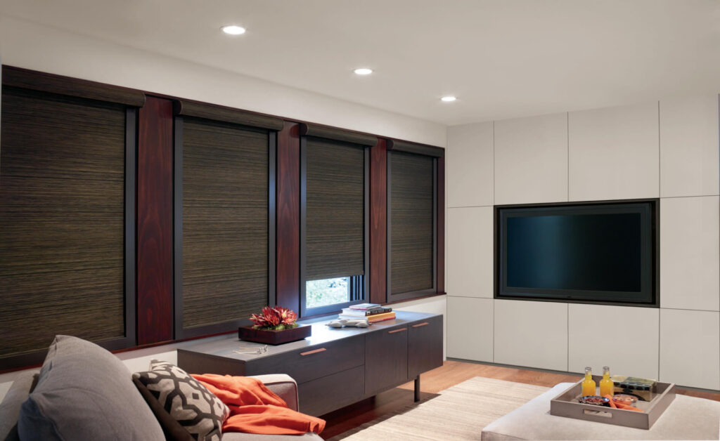 Blackout roller shades in media room