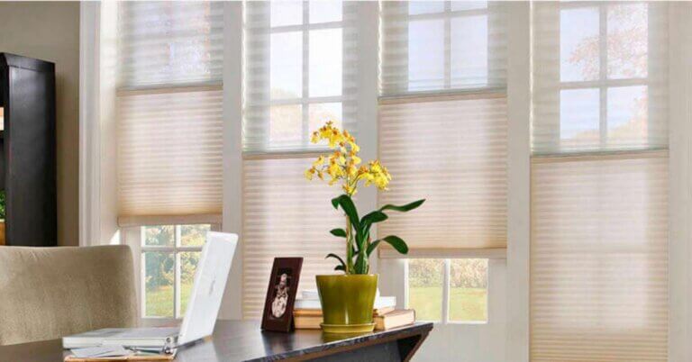 Single Cell or Double Cell Shades: Making the Right Choice for Your Home